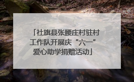社旗县张腰庄村驻村工作队开展庆“六一”爱心助学捐赠活动