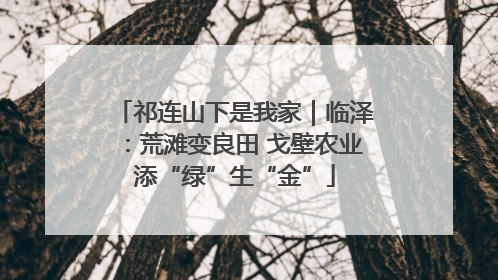 祁连山下是我家｜临泽：荒滩变良田 戈壁农业添“绿”生“金”