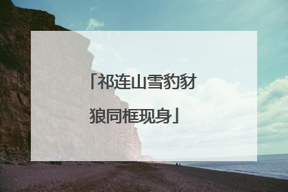 祁连山雪豹豺狼同框现身