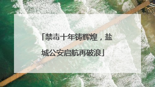 禁毒十年铸辉煌，盐城公安启航再破浪
