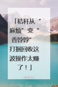 秸秆从“麻烦”变“香饽饽” 打捆回收这波操作太赚了！