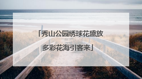 秀山公园绣球花盛放 多彩花海引客来