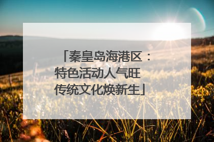 秦皇岛海港区：特色活动人气旺 传统文化焕新生