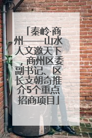 秦岭·商州——山水人文邀天下，商州区委副书记、区长支朝奇推介5个重点招商项目