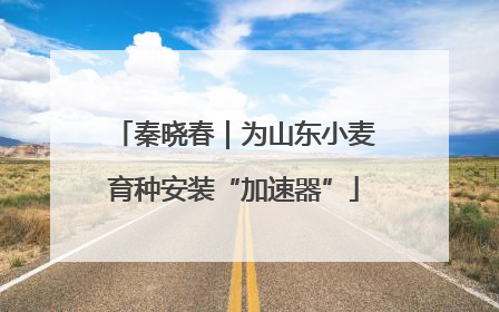 秦晓春｜为山东小麦育种安装“加速器”