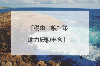 税惠“粮”策助力夏粮丰仓