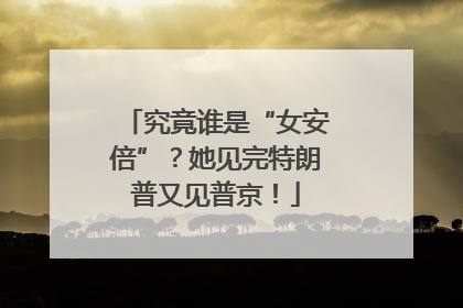 究竟谁是“女安倍”？她见完特朗普又见普京！