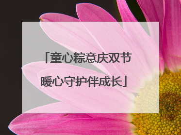 童心粽意庆双节 暖心守护伴成长