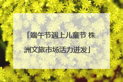 端午节遇上儿童节 株洲文旅市场活力迸发
