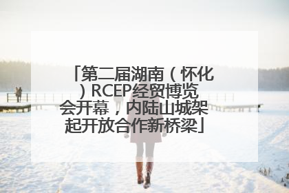 第二届湖南（怀化）RCEP经贸博览会开幕，内陆山城架起开放合作新桥梁