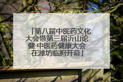 第八届中医药文化大会暨第三届沂山论健·中医药健康大会在潍坊临朐开幕
