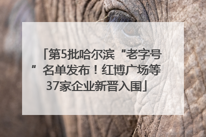 第5批哈尔滨“老字号”名单发布！红博广场等37家企业新晋入围