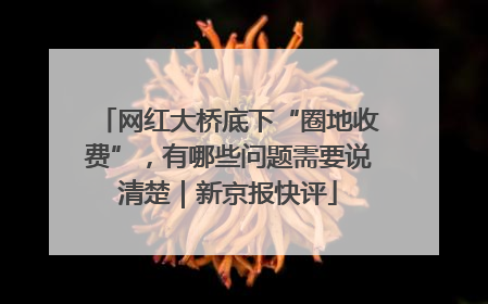 网红大桥底下“圈地收费”，有哪些问题需要说清楚｜新京报快评