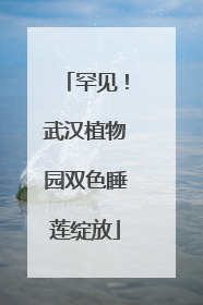 罕见！武汉植物园双色睡莲绽放