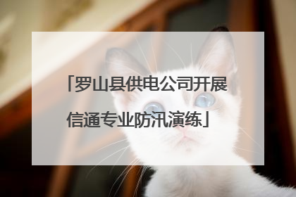 罗山县供电公司开展信通专业防汛演练