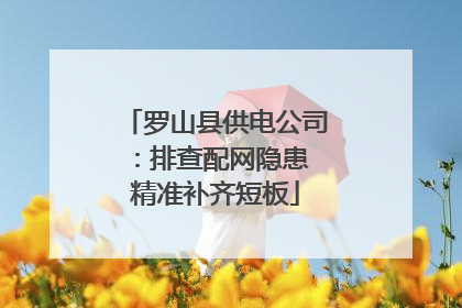 罗山县供电公司：排查配网隐患 精准补齐短板