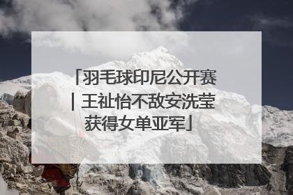 羽毛球印尼公开赛｜王祉怡不敌安洗莹 获得女单亚军