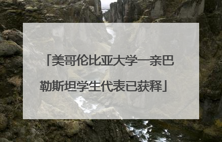 美哥伦比亚大学一亲巴勒斯坦学生代表已获释