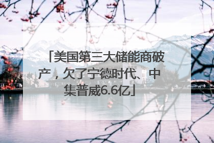 美国第三大储能商破产，欠了宁德时代、中集普威6.6亿