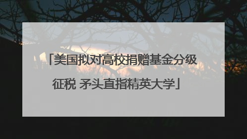 美国拟对高校捐赠基金分级征税 矛头直指精英大学