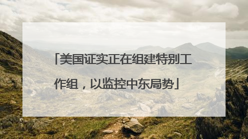 美国证实正在组建特别工作组，以监控中东局势