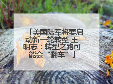 美国陆军将要启动新一轮转型 王明志：转型之路可能会“翻车”
