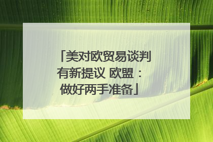美对欧贸易谈判有新提议 欧盟：做好两手准备