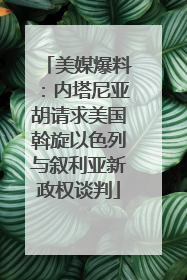 美媒爆料：内塔尼亚胡请求美国斡旋以色列与叙利亚新政权谈判