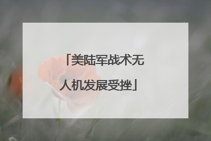 美陆军战术无人机发展受挫