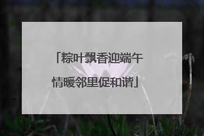 粽叶飘香迎端午 情暖邻里促和谐