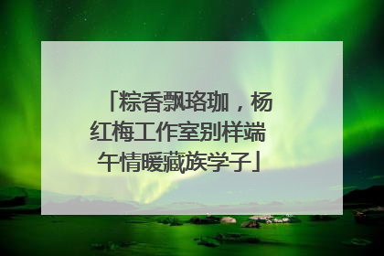 粽香飘珞珈，杨红梅工作室别样端午情暖藏族学子