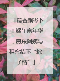 粽香飘岑卜！端午嘉年华，房东阿姨与租客结下“粽子情”