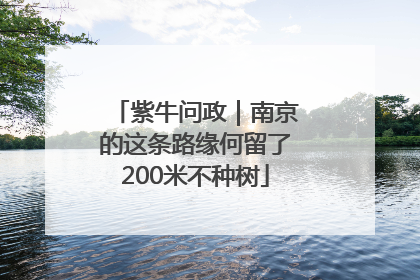 紫牛问政｜南京的这条路缘何留了200米不种树