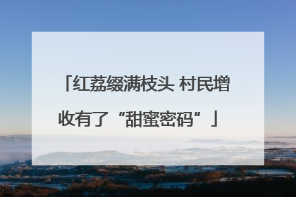 红荔缀满枝头 村民增收有了“甜蜜密码”