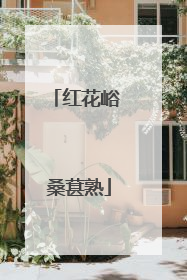红花峪 桑葚熟