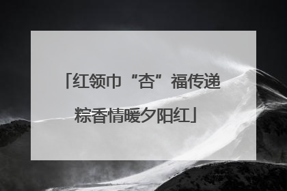 红领巾“杏”福传递 粽香情暖夕阳红