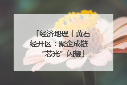 经济地理丨黄石经开区：聚企成链“芯光”闪耀