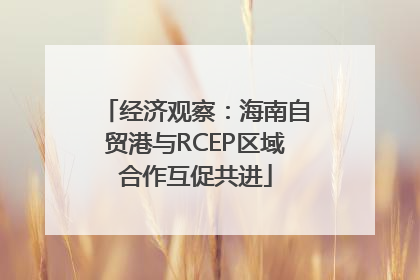 经济观察：海南自贸港与RCEP区域合作互促共进