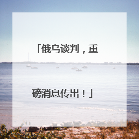 俄乌谈判，重磅消息传出！