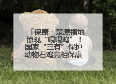 保康：楚源福地惊现“嘎嘎鸡”！国家“三有”保护动物石鸡亮相保康沿河公园
