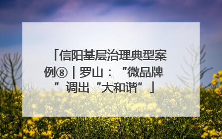 信阳基层治理典型案例⑧｜罗山：“微品牌”调出“大和谐”