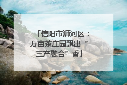 信阳市浉河区：万亩茶庄园飘出“三产融合”香