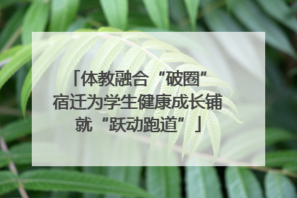体教融合“破圈” 宿迁为学生健康成长铺就“跃动跑道”