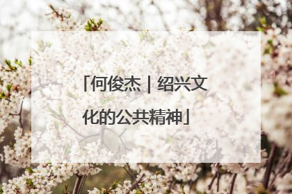 何俊杰｜绍兴文化的公共精神