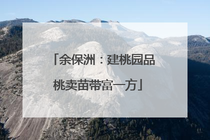 余保洲：建桃园品桃卖苗带富一方