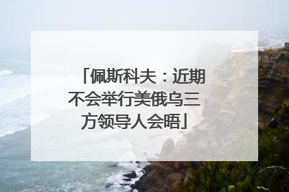 佩斯科夫：近期不会举行美俄乌三方领导人会晤