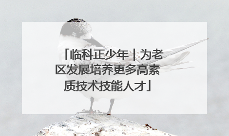 临科正少年｜为老区发展培养更多高素质技术技能人才