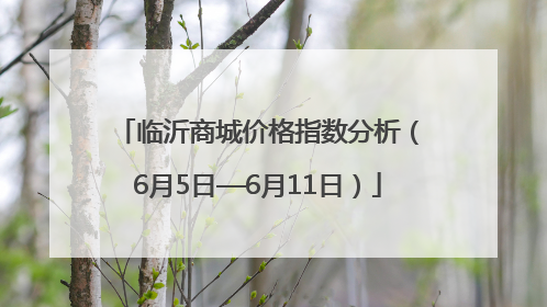 临沂商城价格指数分析（6月5日—6月11日）