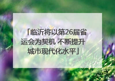 临沂将以第26届省运会为契机 不断提升城市现代化水平