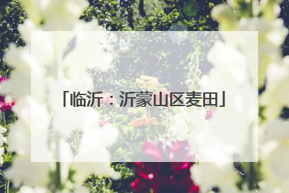 临沂：沂蒙山区麦田